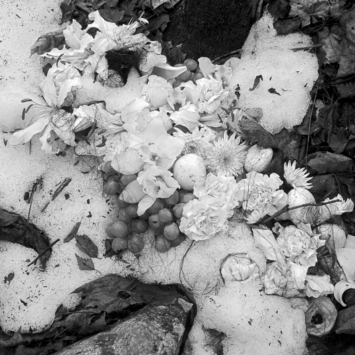 Limbus III, pigment, print, 2011, 150 x 150 cm