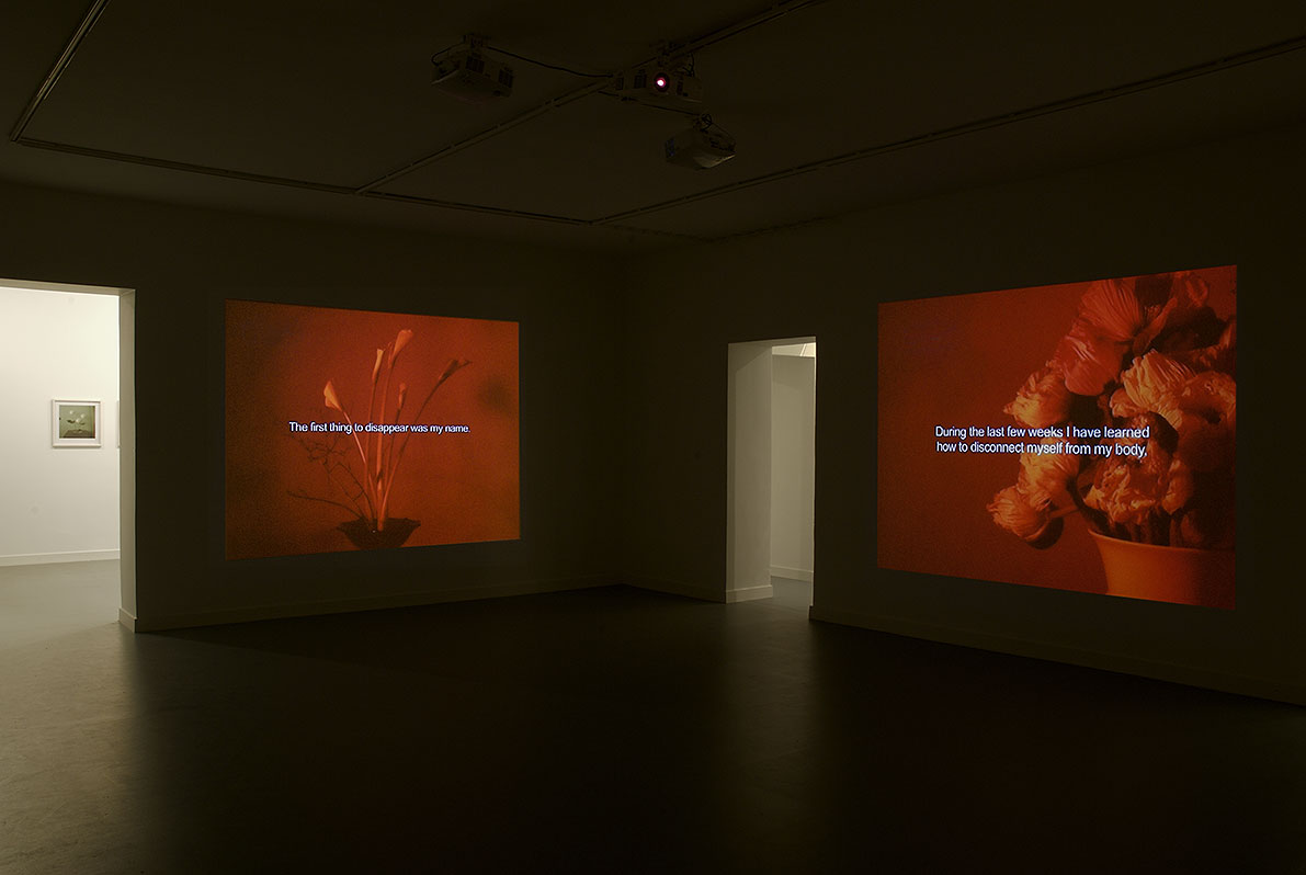 View of the exhibition, 3 video projections: No Body, series of photographs: If Inside Is Let In