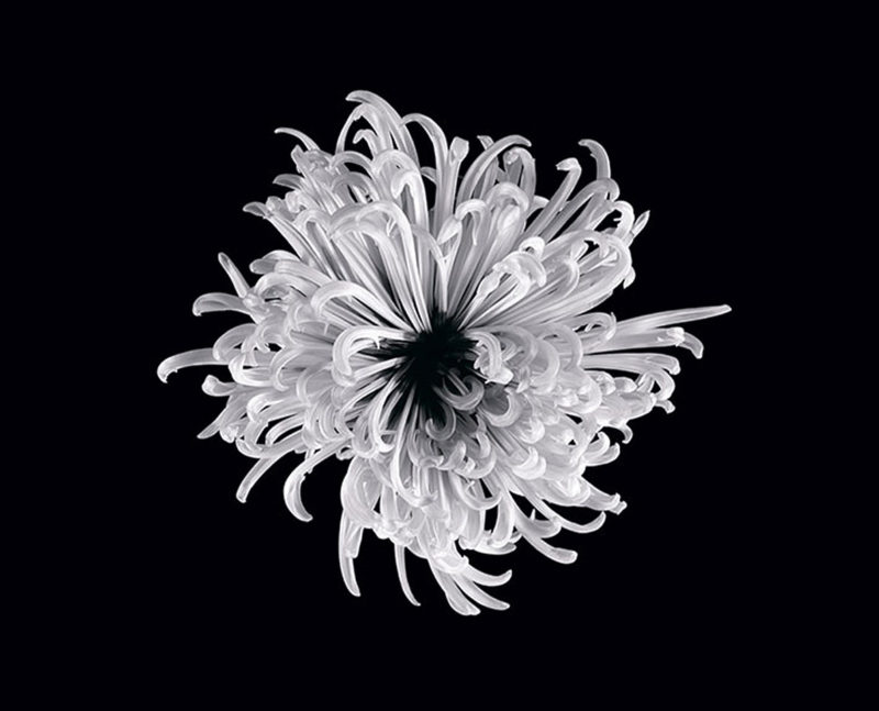 Shallow Hole, C-print, 2010, 73 x 90 cm
