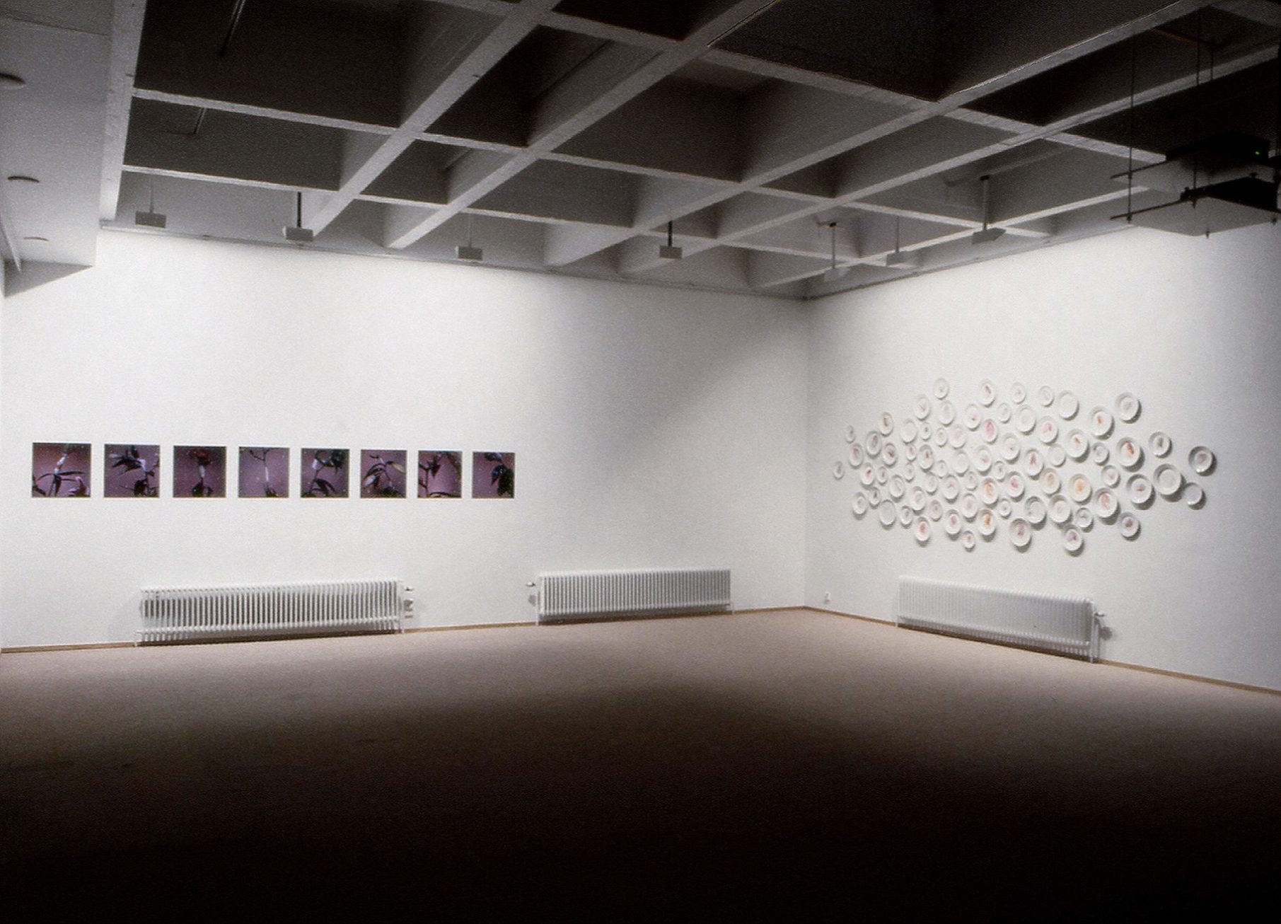 Installation view of the exhibition