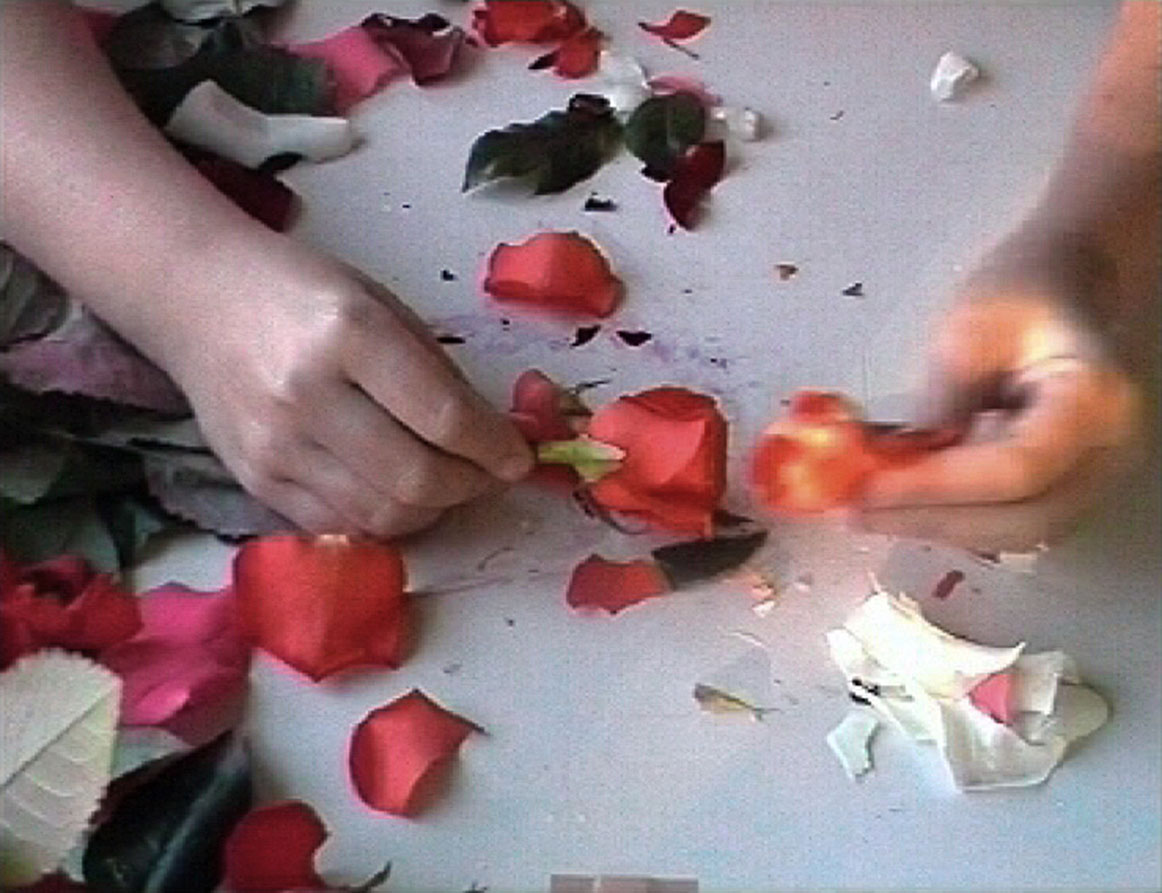 Nursery, still image from the DVD, duration: 00:12:50
